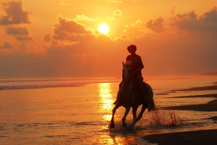 Beach riding in Costa Rica